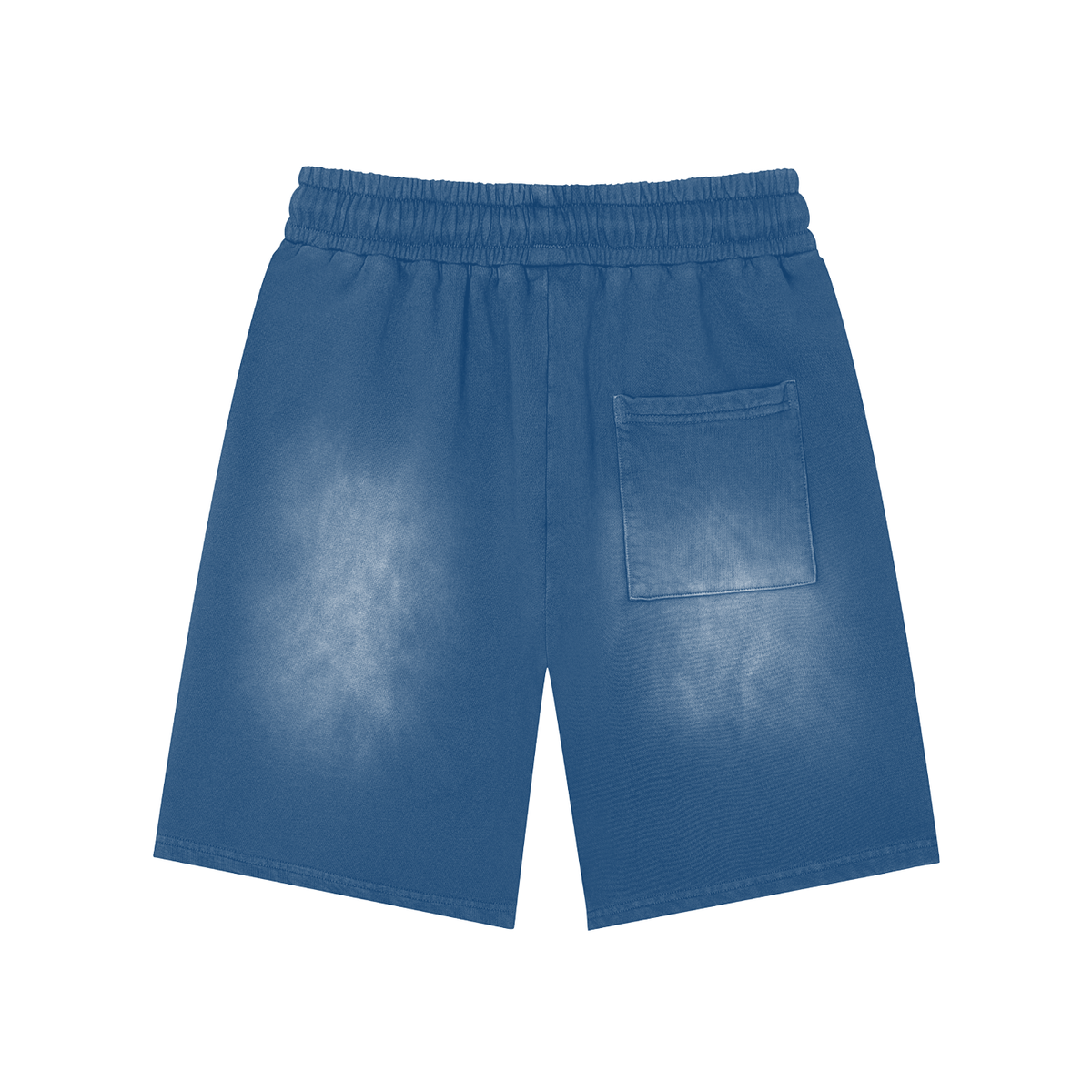 AR-07 Shorts in Blue — back