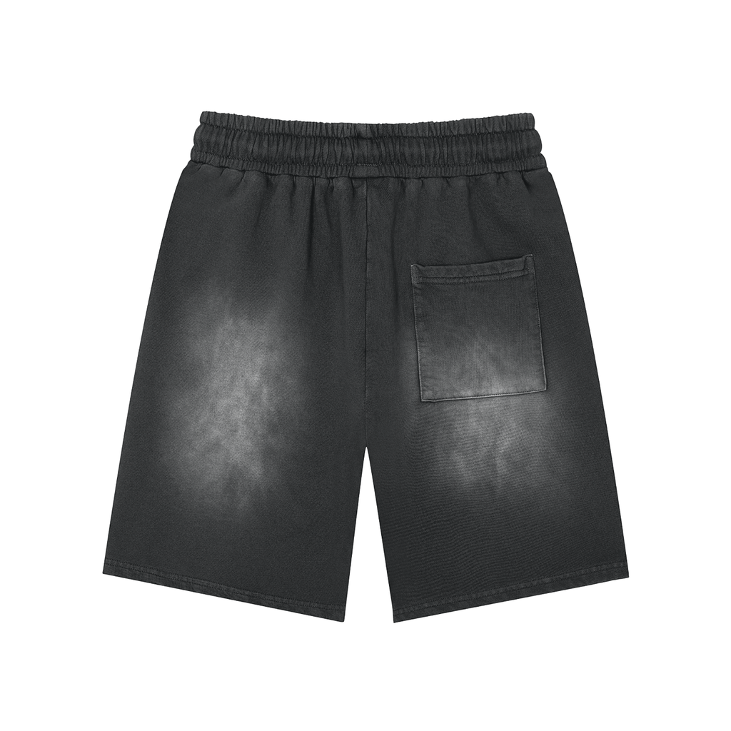 AR-07 Shorts in Black — back